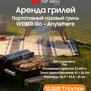 Портативный газовый гриль go – anywhere в черном цвете (аренда)