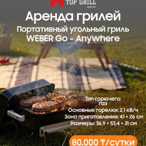 Портативный газовый гриль go – anywhere в черном цвете (аренда)