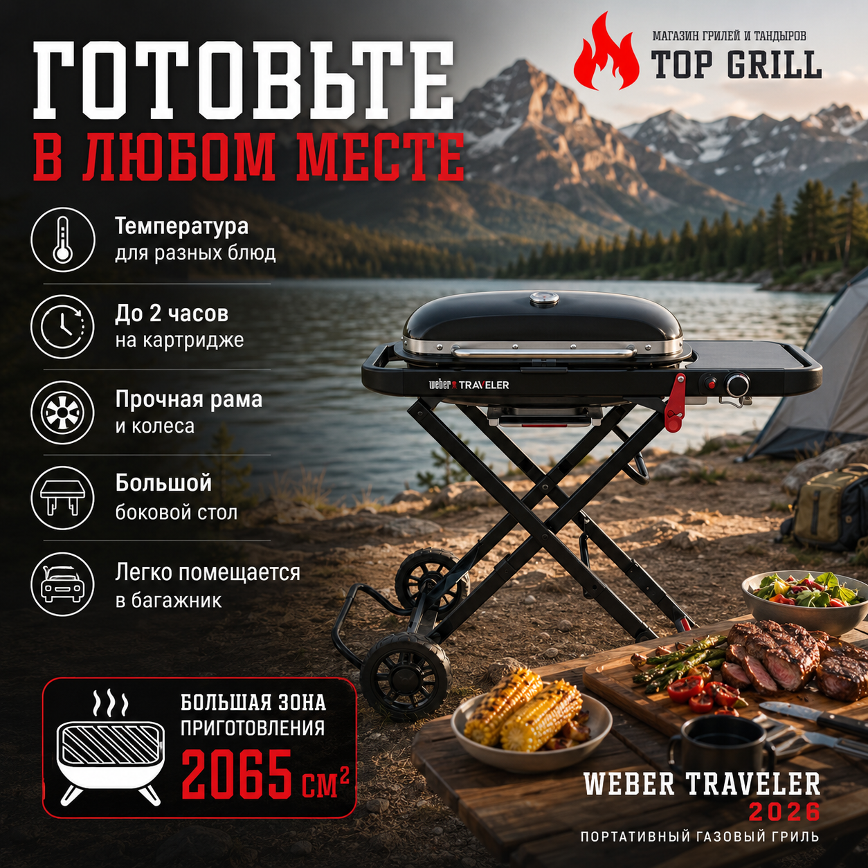 WEBER TRAVELER 2026