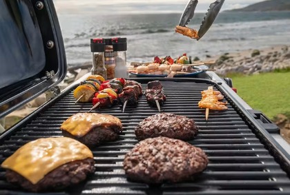 WEBER TRAVELER 2026
