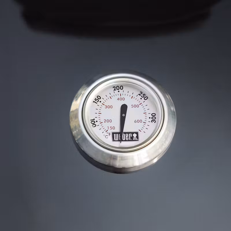 Угольный гриль Master-touch E-6755 Weber Crafted
